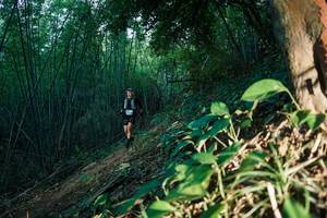 BIB: 
                            <button type="button" onclick="openModal(28124118)" class="btn btn-primary btn-sm float-right btn-popup" data-toggle="modal" data-target=".modal-high-quality">
                        <i class="fas fa-shopping-cart"></i> Add to Cart
                    </button>
                                            <button type="button" onclick="isThisMe(28124118, true)" class="btn btn-success btn-sm float-right btn-popup btn-isme hidden" data-toggle="tooltip" data-placement="bottom" title="นี่คือรูปของคุณใช่ไหม คลิกที่นี่เพื่อเอาเข้าอัลบั้ม">
                        <i class="fas fa-plus"></i> Add to album
                    </button>
                    <button type="button" onclick="isThisMe(28124118, false)" class="btn btn-warning btn-sm float-right btn-popup btn-isnotme hidden">
                        <i class="fas fa-ban"></i> Remove from album
                    </button>